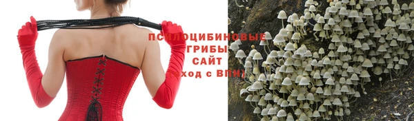 МДПВ Богданович
