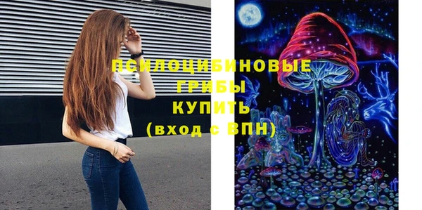 МДПВ Богданович