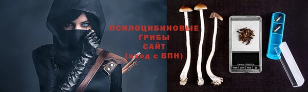 МДПВ Богданович