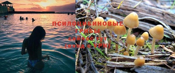 МДПВ Богданович