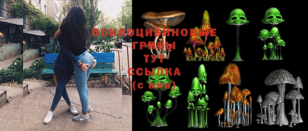 МДПВ Богданович